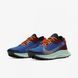 Кросівки Nike Pegasus Trail 2 Gore-Tex Mystic Dates Astronomy Blue (W) 3