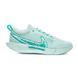 Кросівки Nike ZOOM COURT PRO CLY 2