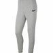 Штани Nike Park 20 (CW6907-063) 1