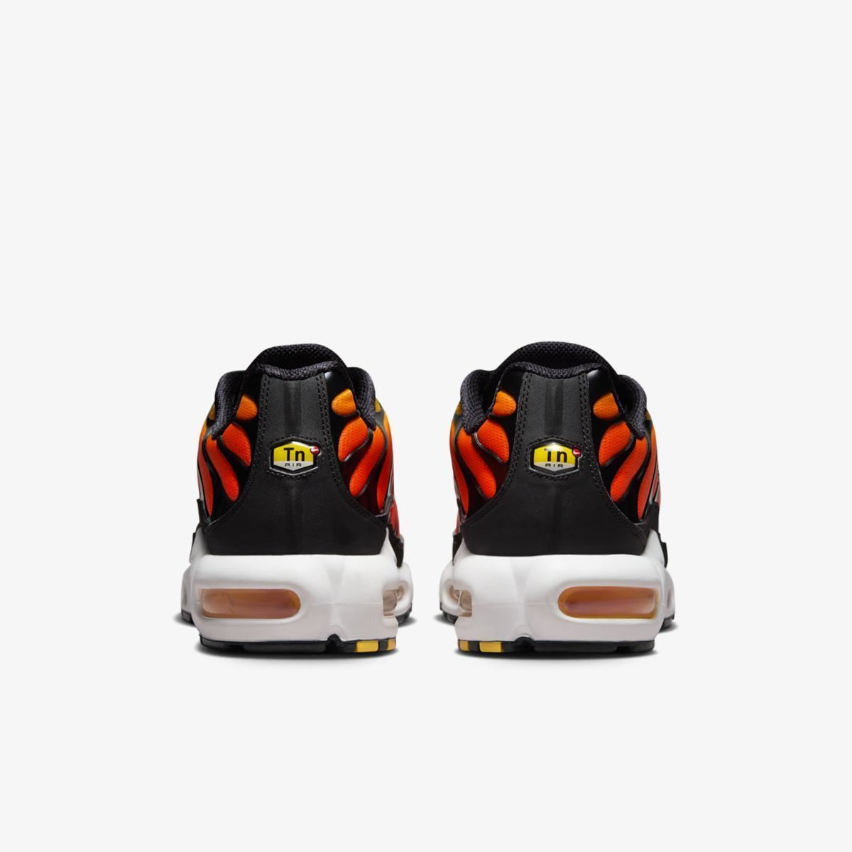 Кросівки NIKE AIR MAX PLUS купити