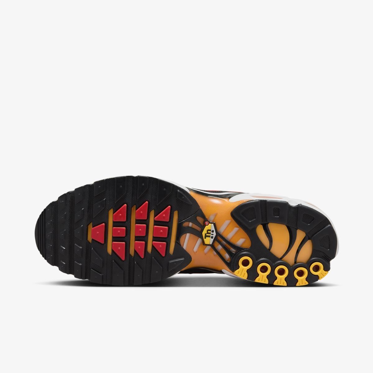 Кросівки NIKE AIR MAX PLUS купити