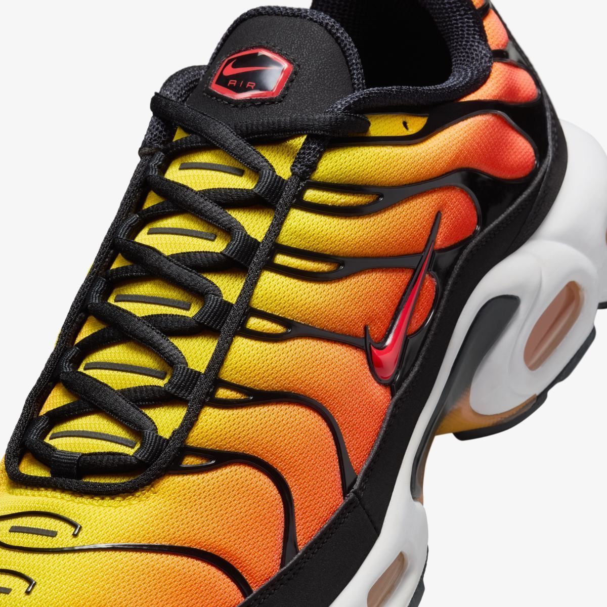 Кросівки NIKE AIR MAX PLUS купити