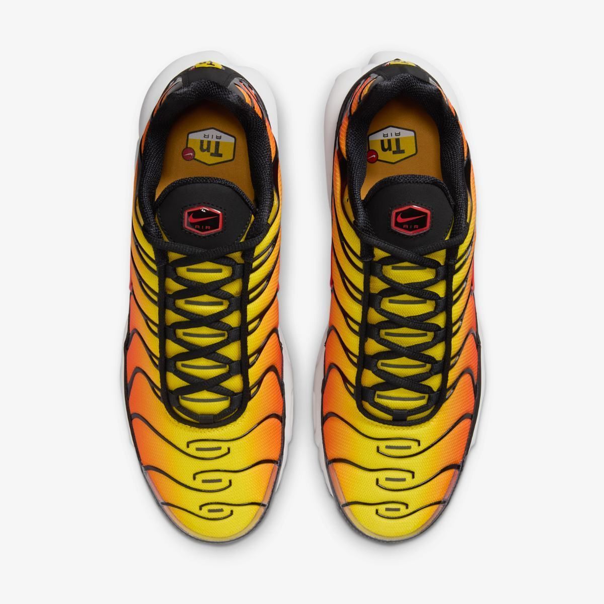 Кросівки NIKE AIR MAX PLUS купити