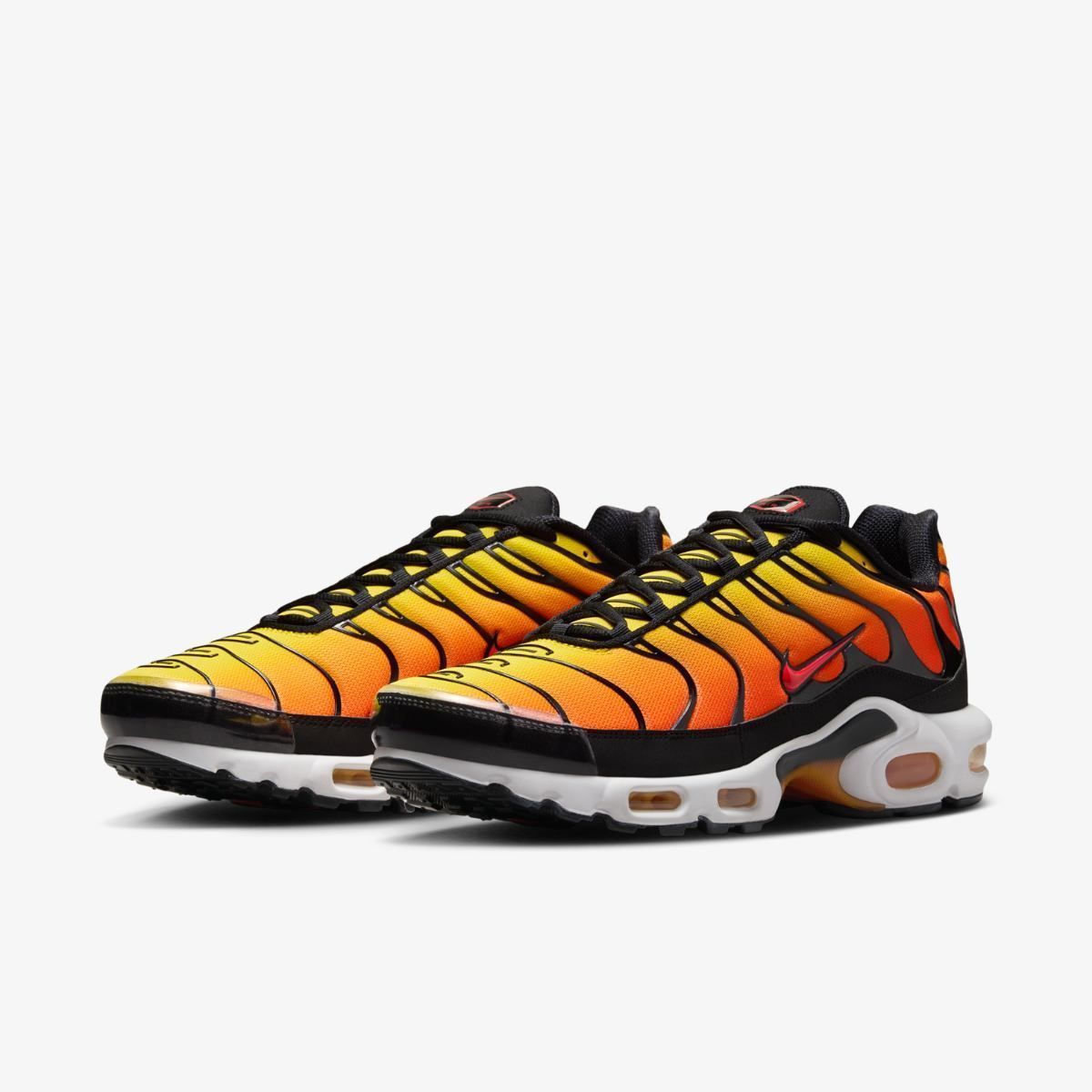 Кросівки NIKE AIR MAX PLUS купити