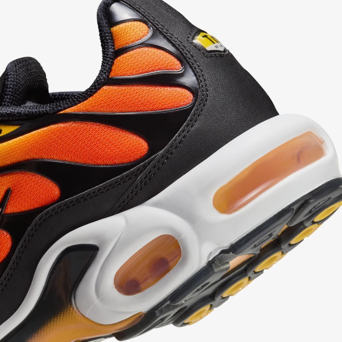 Кросівки NIKE AIR MAX PLUS купити