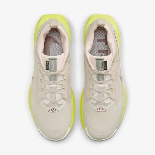 Кросівки Nike W PEGASUS TRAIL 5 GTX купити