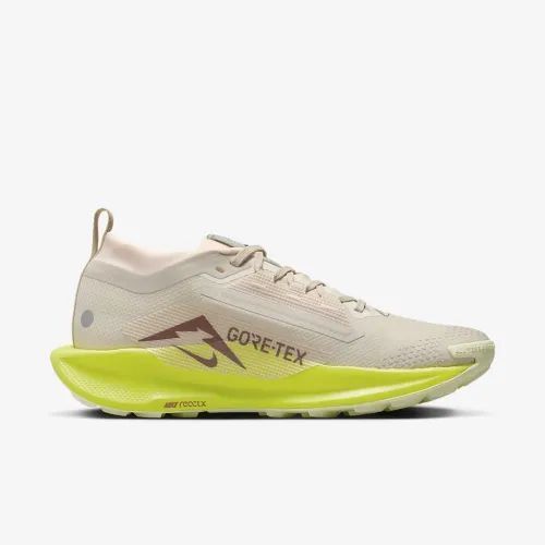 Кросівки Nike W PEGASUS TRAIL 5 GTX купити