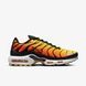 Кросівки NIKE AIR MAX PLUS 3