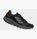 Кросівки Adidas Terrex Trail Rider Gore-Tex Running (HQ1238) 2