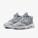 Кросівки NIKE JORDAN MAX AURA 4 2