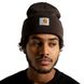 Шапка Carhartt Wip Watch Hat Beanie I020222 4