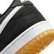 Кросівки NIKE SB DUNK LOW 2