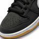 Кросівки NIKE SB DUNK LOW 3