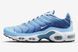 Кросівки Nike WMNS AIR MAX PLUS 1