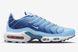 Кросівки Nike WMNS AIR MAX PLUS 2