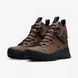 Кросівки Nike ACG ZOOM GAIADOME GORE-TEX 2