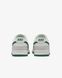 Кросівки Nike DUNK LOW RETRO 5