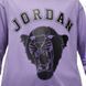 Лонгслів JORDAN 6