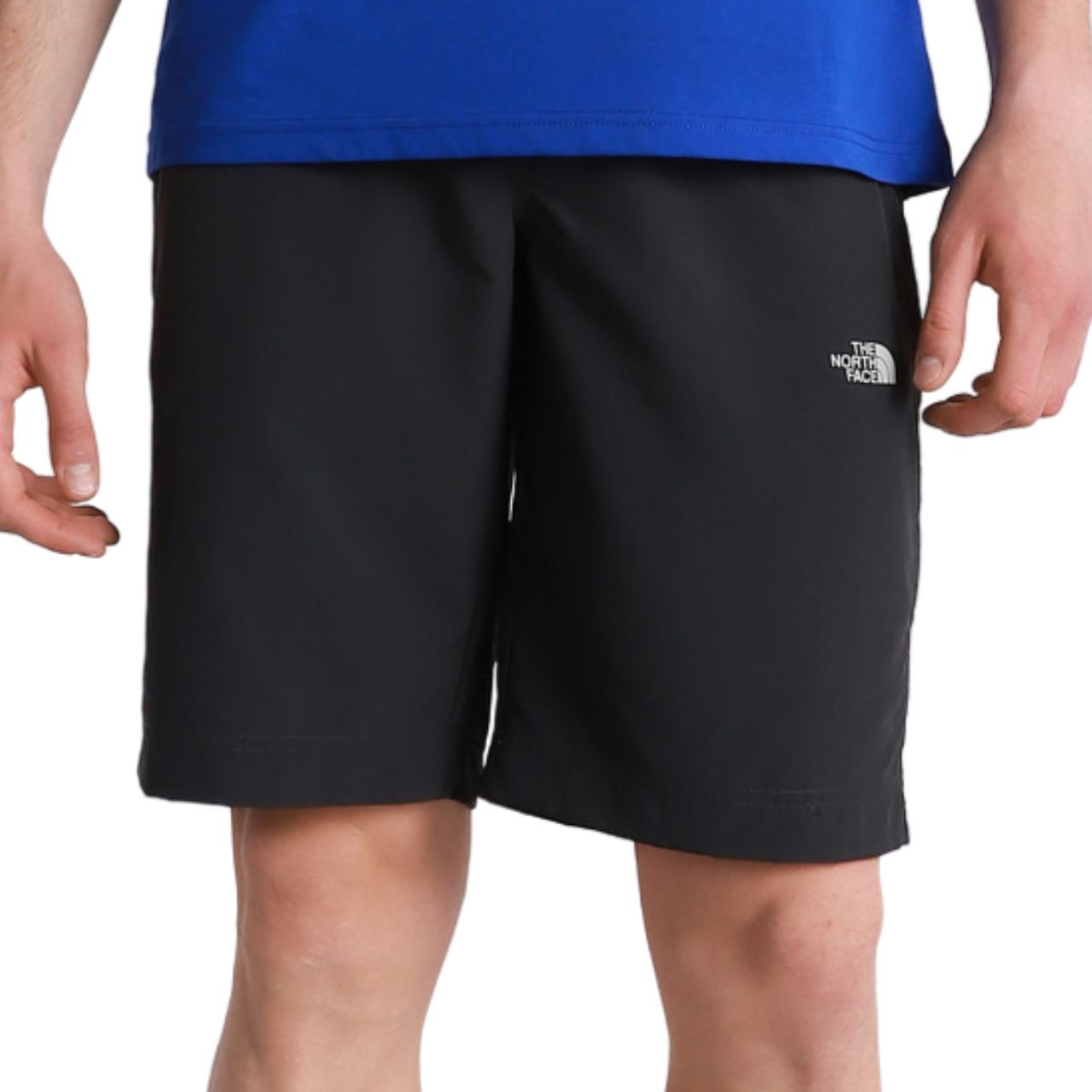 Шорти The North Face Tanken Short Regu купити