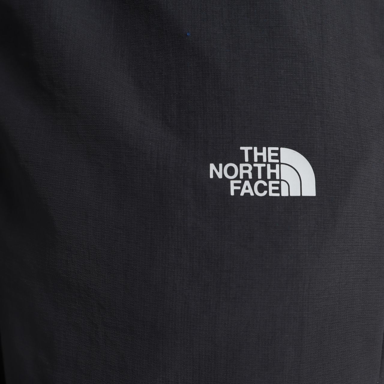 Шорти The North Face Tanken Short Regu купити