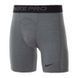 Шорти Nike M NP SHORT 1