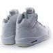 Кросівки JORDAN 5 PREMIUM PURE 11