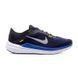 Кросівки Nike AIR WINFLO 10 2