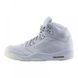 Кросівки JORDAN 5 PREMIUM PURE 1