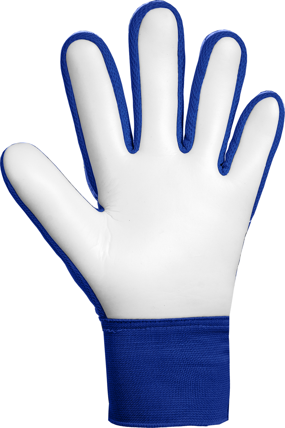 Вратарские перчатки Reusch Attrakt Starter Solid Junior, 7