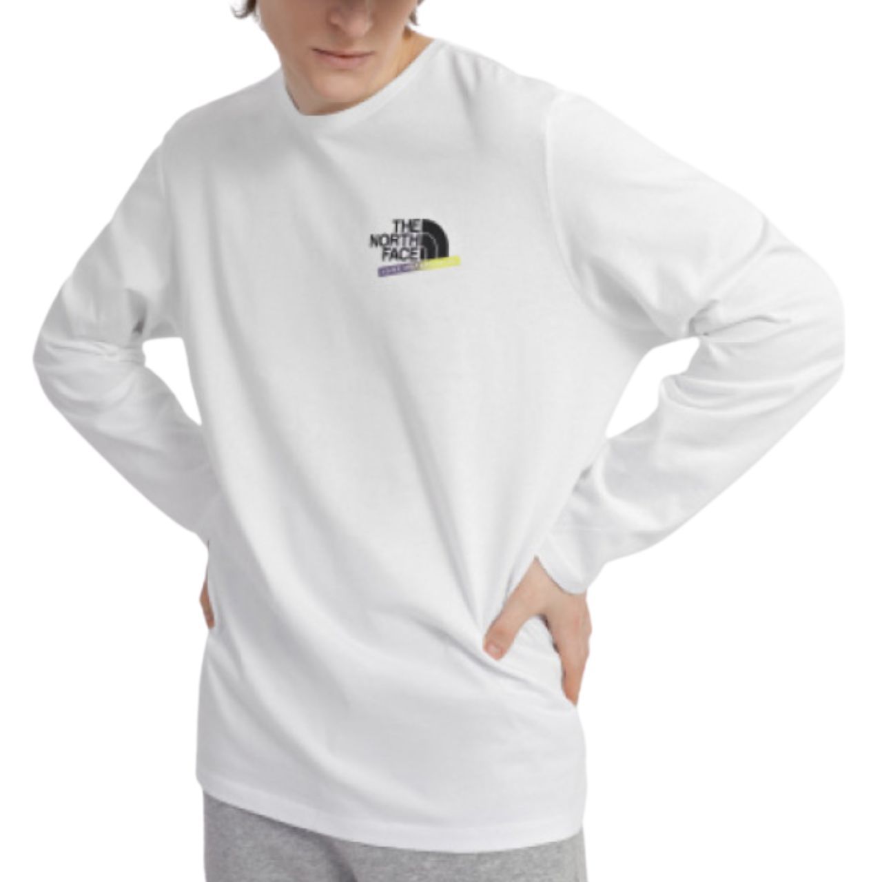 Лонгслів The North Face ES GRAPHIC L/S купити