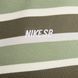 Толстовка NIKE SB FULL-ZIP FLEECE SKATE HOODIE OLIVE 3