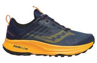 Кросівки для бігу Saucony RIDE TR2 GTX купити