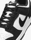 Кросівки Nike DULOW RETRO SE 6