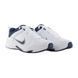 Кросівки Nike DEFYALLDAY 5