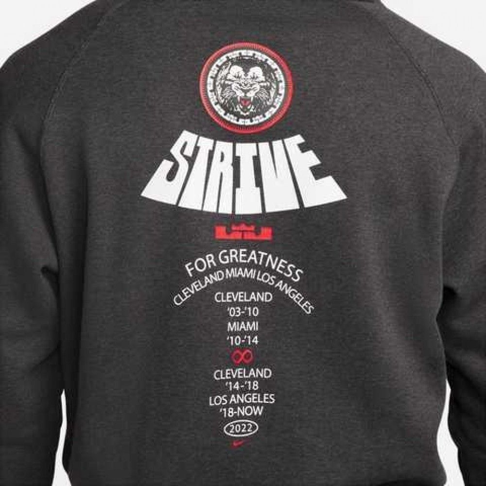 Худі Nike Lebron Pullover Basketball Hoodie Grey купить