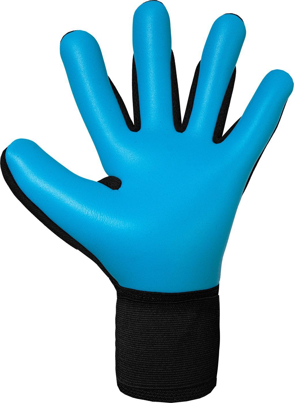 Вратарские перчатки Reusch Attrakt Freegel Aqua, 10
