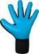 Вратарские перчатки Reusch Attrakt Freegel Aqua, 10