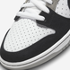 Кросівки NIKE DUNK SB 1