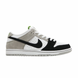 Кросівки NIKE DUNK SB 2