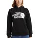 Толстовка The North Face Standard Hoodie 1