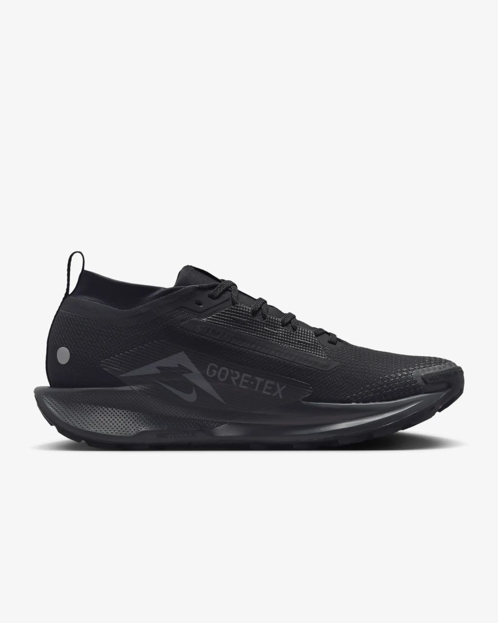 Кросівки Nike PEGASUS TRAIL 5 GTX купить