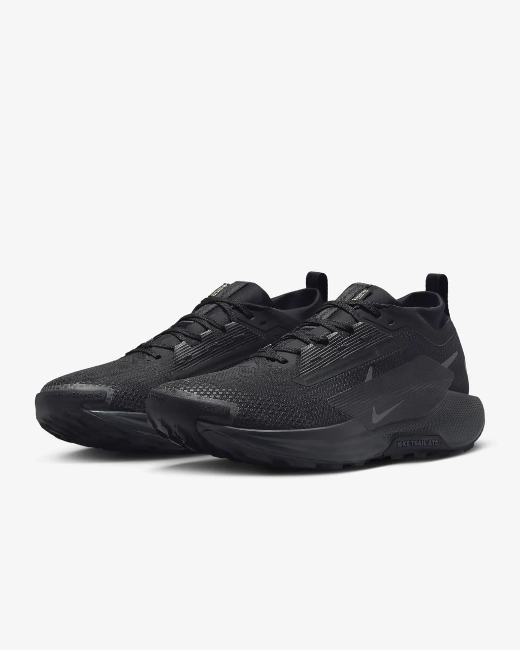 Кросівки Nike PEGASUS TRAIL 5 GTX купить