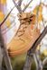 Кроссовки Nike PATH WNTR 2