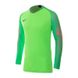 Футболка Nike GARDIEN Long Sleeve 1
