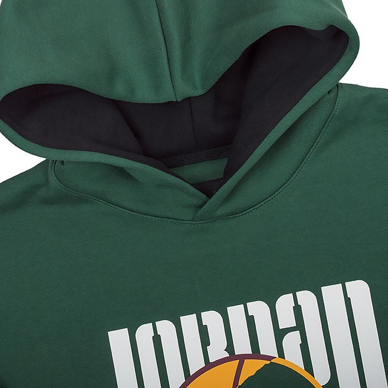 Кофта Jordan M J SPRT DNA HBR FLC PO купить