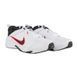 Кросівки Nike DEFYALLDAY 5