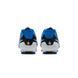 Бутси Nike LEGEND 10 CLUB FG/MG 2