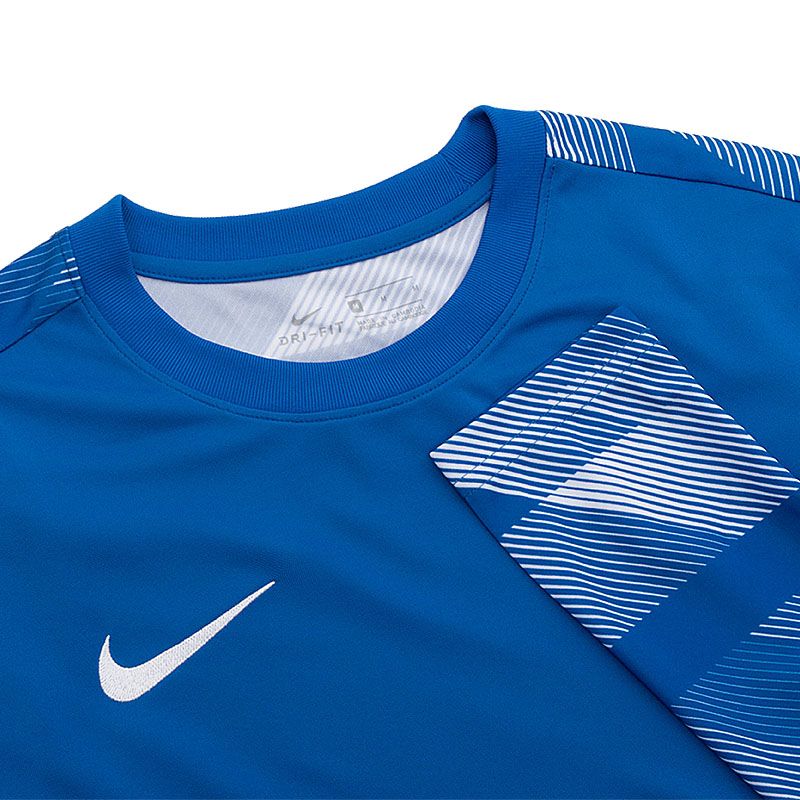 Кофта Nike Dry Park IV Goalkeeper Jersey Long Sleeve купить