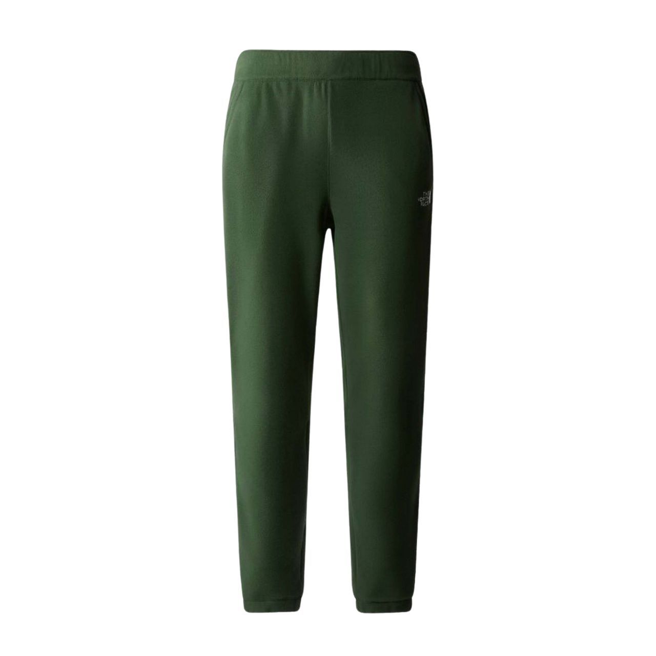 Штани The North Face GLACIER PANT купити