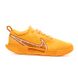 Кросівки Nike ZOOM COURT PRO CLY 2